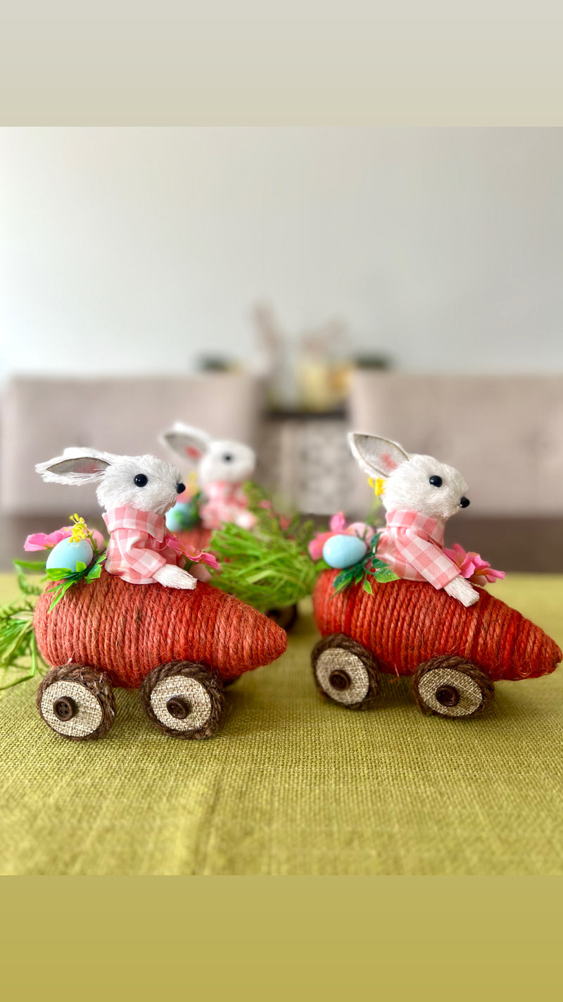 Grass bunny in carrot car